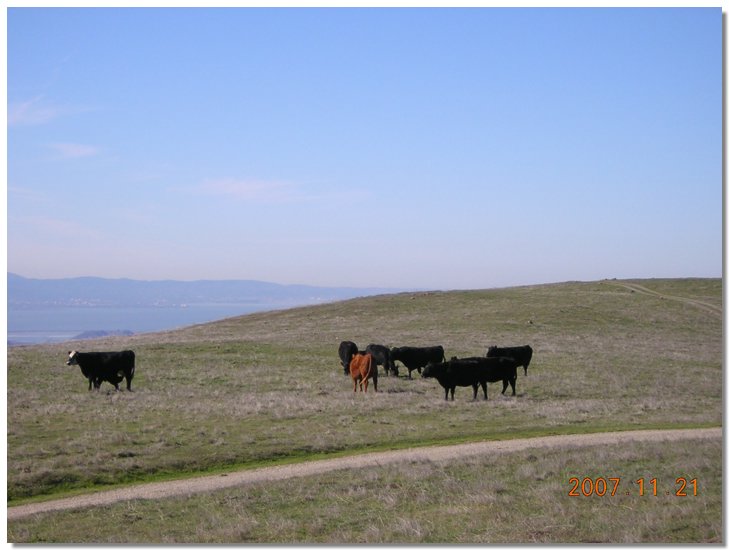 Mission Peak, San  Jose, Silicon Valley