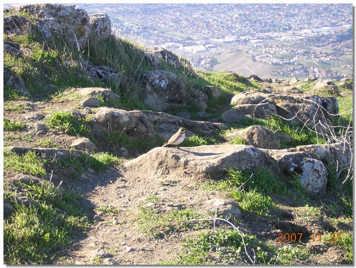 Mission Peak, San  Jose, Silicon Valley