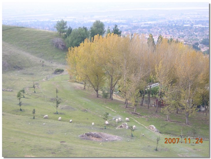 Mission Peak, San  Jose, Silicon Valley