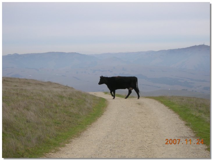 Mission Peak, San  Jose, Silicon Valley