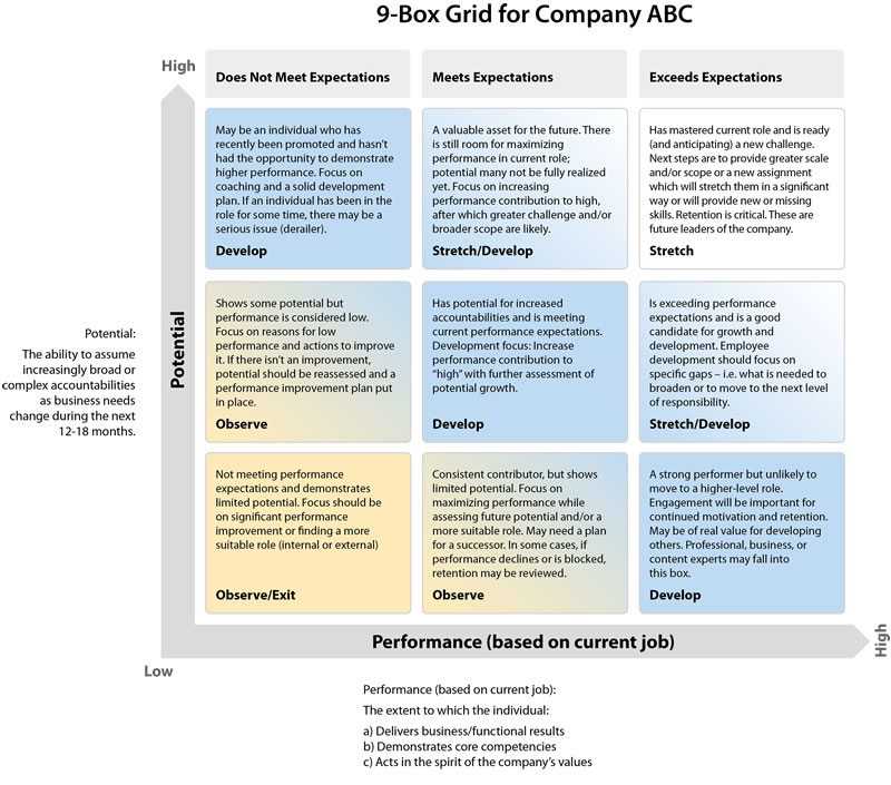 http://www.halogensoftware.com/uploads/learn/how-to/proven-tools-for-identifying-and-developing-your-organizations-talent-pipeline/nine-box-grid.jpg